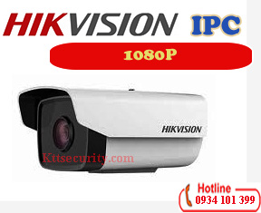 Camera ip 1080P Hikvision DS-2CD1221-I3