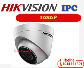 Camera ip 1080P Hikvision DS-2CD1321-I